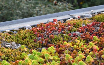 the cost of Low Toynton green roof installation