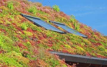 Low Toynton living roof systems