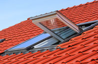 Low Toynton roof window